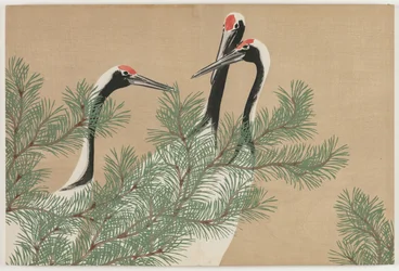Flowers of a Hundred Worlds (Momoyogusa): Traner (Tsuru)