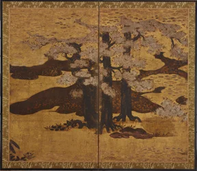 Blomstrende kirsebærtræer, Edo-perioden, ca.1580-1635.