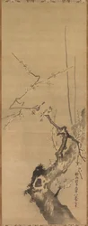Spurve på blomstrende blomme, 1600-tallet.