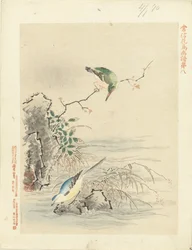 Kingfisher ser på fugl ved vand Blomster- og fugleskitser af Kano Tsunenobu (serietitel) Kano Tsunenobu kacho gafu (serietitel på objekt)