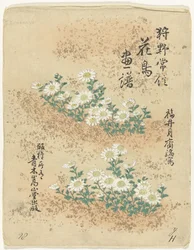 Indeks Blomster- og fugleskitser af Kano Tsunenobu (serietitel) Kano Tsunenobu kacho gafu (serietitel på objekt)