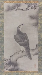 Hawk on a Pine Shoo zu, 1500-tallet.