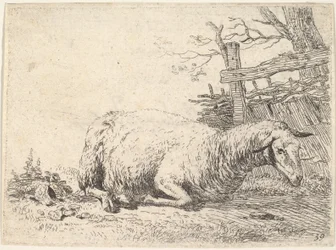 Et får, der ligger med benene foldet under kroppen ved siden af et plankeværk, hun..., ca. 1655.