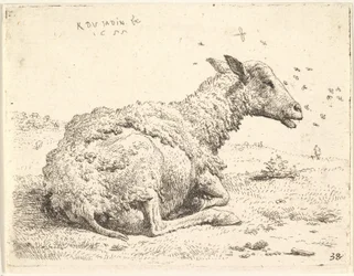 Delvist klippede får liggende i græsset med insekter svævende omkring hovedet, 1655.