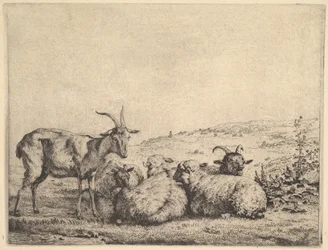 To geder og tre får, 1655.