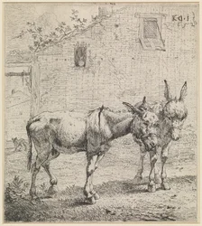 De to æsler