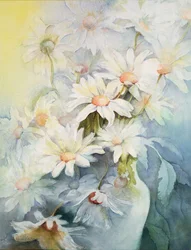 Krysantemum, snehætte