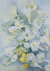 Freesia Eldus, Kæmpehvid