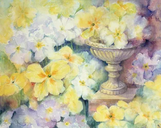 Polyanthus ved Hurst