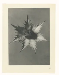 planlægge undersøgelse Arketyper af kunst (serietitel)