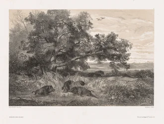 Dyr og landskab efter naturen: Vildsvin i en dam, ca. 1850.