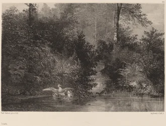 Ænder, 18611866.
