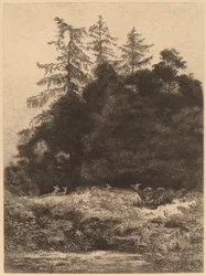 Dådyr i en park