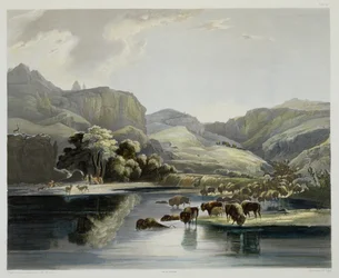 Hjorde af bisoner og elge ved øvre Missouri, planche 47 fra bind 2 af 