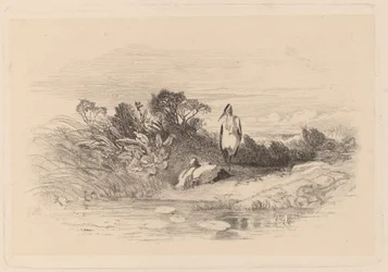 Hejrer