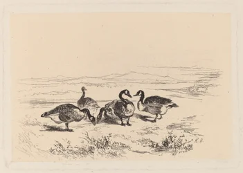 bramgæs