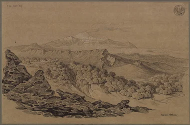 „Tegnet i skovområdet ved Etna“