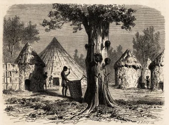 Krigens træ, i en landsby Djour, Bahr-el-Gazal-regionen, Sudan, tegning af Karl Girardet (1813-1871) for at illustrere rejsen til floden af gazellerne i A. Bolognesi, i 1856-1857. Indgravering i "" Le tour du monde"", redigeret af Edouard Charton