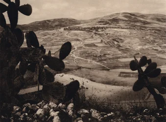 Samaria, Herodes Hippodrome (s/h foto)