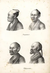 Buster af japanske mænd med chonmage-topknude og kinesiske mænd med skæg, heraf én med fletning. Litografi af Karl Joseph Brodtmann fra Heinrich Rudolf Schinz
