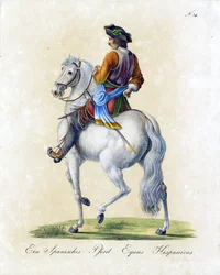 Den spanske hest (print)