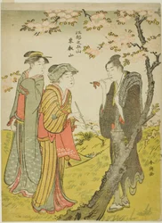 Toei Hill (Toeizan), fra serien "Five Hills of Edo (Koto no gozan)"