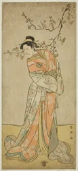 Skuespilleren Ichikawa Ebizo (Danjuro V) som hofdamen Iwafuji i skuespillet Gozen-gakari Sumo Soga, opført på Kawarazaki-teatret i den første måned, 1793 ()