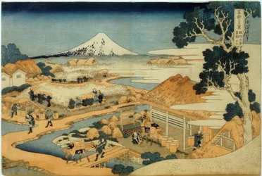 Mount Fuji set fra teplantagen i Katakura, Suruga-provinsen