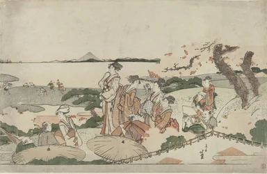 Beundre kirsebærblomsten ved Gotenyama