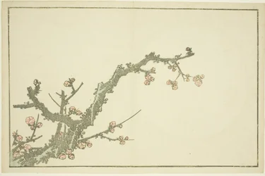 Blomstrende blommetræ, fra The Picture Book of Realistic Paintings of Hokusai (Hokusai shashin gafu), ca. 1814 (farvetræsnit (albumark))