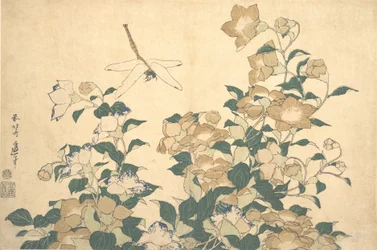 Dragonfly and Bellflower, slutningen af 1820