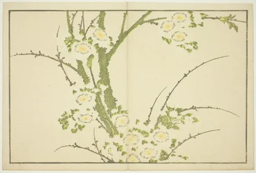 Blomster fra The Picture Book of Realistic Paintings of Hokusai (Hokusai shashin gafu)