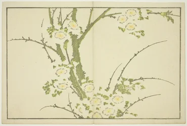 Blomster, fra The Picture Book of Realistic Paintings of Hokusai (Hokusai shashin gafu), ca. 1814 (farvetræsnit (albumark))
