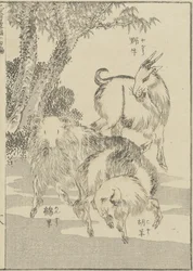 Geder, ca. 1840 (træsnit)