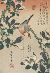 Javamåge og magnolie, ca. 1832