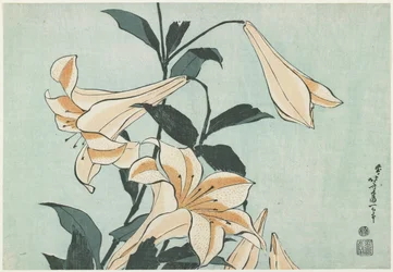 Liljer, ca. 1832