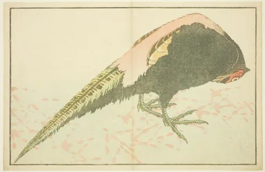 Mandlig fasan, fra billedbogen med realistiske malerier af Hokusai (Hokusai shashin gafu)