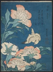 Peonies and Canary (Shakuyaku, kanaari), fra en serie uden navn, kendt som små blomster