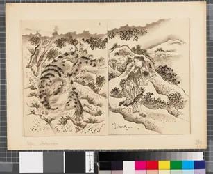 Scener fra krigen mellem Japan og Korea, slutningen af det 18. og første halvdel af det 19. århundrede (blæk og lavering på papir)