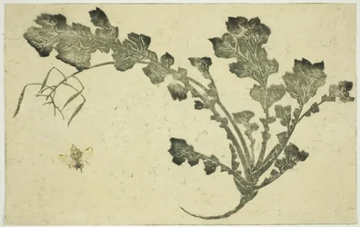Hvepse- og majroestilk, fra "The Picture Book of Realistic Paintings of Hokusai (Hokusai shashin gafu)"