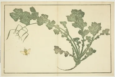 Hvepse- og majroestilk, fra "The Picture Book of Realistic Paintings of Hokusai (Hokusai shashin gafu)"