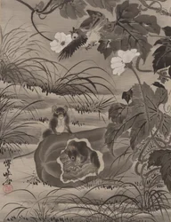 Mus i en melon, ca. 1887.