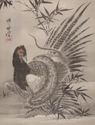 Fasan fanget af en slange, ca. 1887.