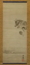 Tanuki mårhund, der ser sin refleksion i vand, slutningen af det 19. århundrede.