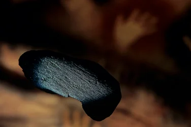 Arkæologi; Hominid; Hominin; Human Ev - Homo sapiens Sapiens; Human Evolution; Ice A...