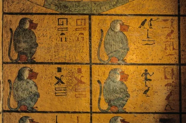 Bavianer, vægmaleri i Kong Tutankhamons grav; KV52, Kongernes Dal, Theben..., 2003 (foto)