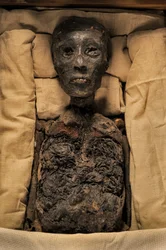 Mumie af Kong Tut, mm7864; 18. dynasti; Det Nye Rige; Det Egyptiske Museum; Cairo; Egy..., 2005 (foto)