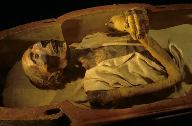 Mumie af Ramses II