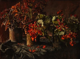 Begonia (olie på lærred)