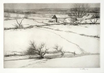 Kvæg Ford